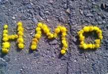 День рождения НМО: поздравляют Кристина Фрезе, Екатерина Клеттер и Сергей Гриценко