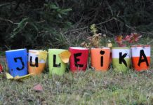 Российско-германский семинар для руководителей молодежных организаций и клубов «Juleica»